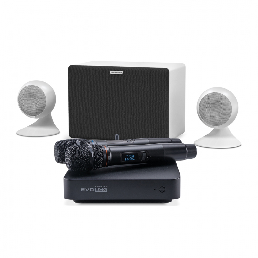караоке-комплект EVOBOX Classic + EvoSound Sphere 2.1 в Челябинской области