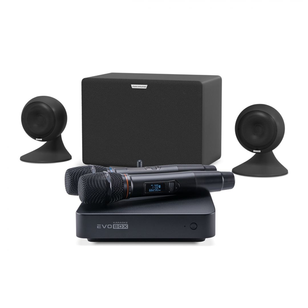 караоке-комплект EVOBOX Plus + EvoSound Sphere 2.1 в Челябинской области