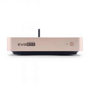 EVOBOX Plus караоке-система для дома в Челябинской области
